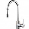 New! Kitchen Sink Pull out Shower Tap
