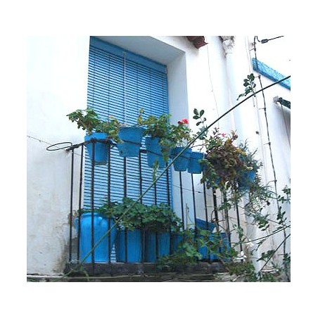 PVC blind 'Alicantina'