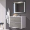 Conjunto Mueble de Baño Supendido Color cemento