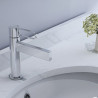 Basin Mixer