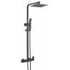 Shower column  Black