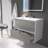 Conjunto Mueble de Baño Supendido Color cemento