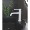 Mitigeur Blanc Lavabo et Bidet