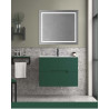 Mueble de Baño  suspendido VERDE