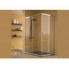 Shower Screen