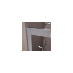 Shower Screen
