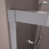 Shower Screen