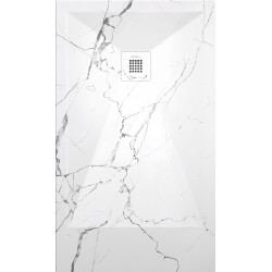 Shower Plate