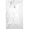 Shower Plate