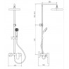 Shower column