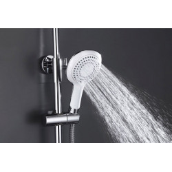 Shower column