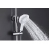 Shower column