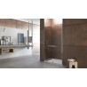 Shower Screen 