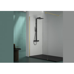 Shower Screen