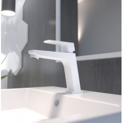 Mitigeur Lavabo et Bidet Blanc