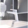 White Basin Mixer