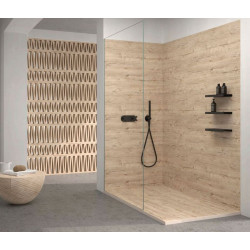 Shower Plate