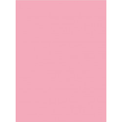 PINK Shower Plate