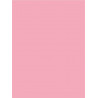 PINK Shower Plate