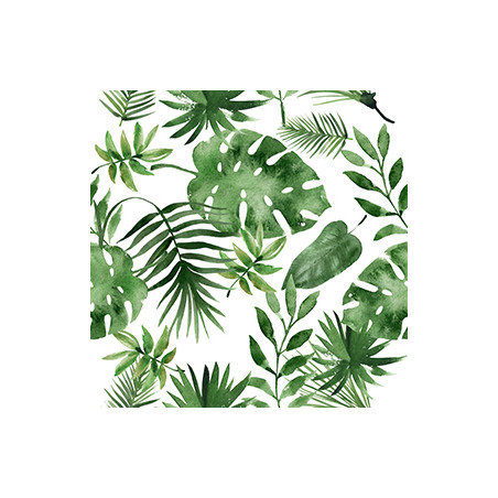 plat de dutxa  de color vert