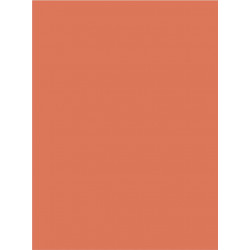 Coral  Shower Plate