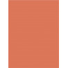 Coral  Shower Plate