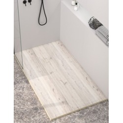 Shower Plate