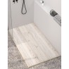 Shower Plate