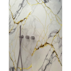 Shower Plate