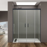 Shower Screen