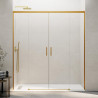 Shower Screen
