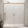 Shower Screen