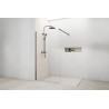 Shower screen