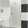 Shower Screen
