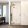 Paroi de douche avec charnière  profile NOIR