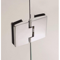 Shower Screen