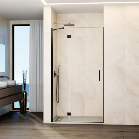 Paroi de douche porte ouvrante  avec charnières couleur titanium