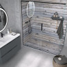 Shower Plate