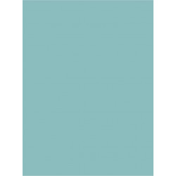 Panell  Llis de Colors Vert, Blau, Rosa, Coral.....