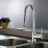 Kitchen Mixer