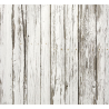 White Shower plate