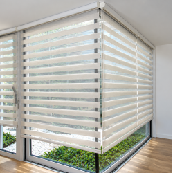 white Curtains